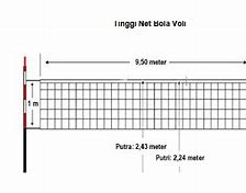 Net Voli Adalah